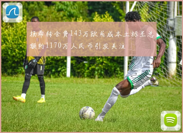 杨希转会费143万欧或成本土标王总额约1170万人民币引发关注